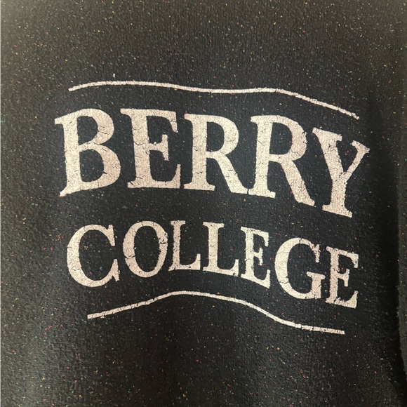 Woolly Threads Berry College Vintage Sweater size Large - Picture 3 of 6